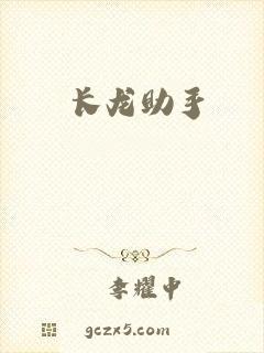 长龙助手